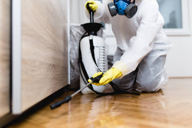 Best Wasp Removal Services  in Wellsville, MO