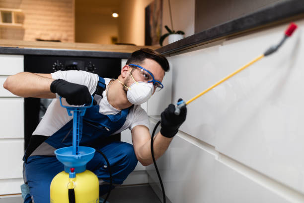 Best Pest Prevention Services  in Wellsville, MO
