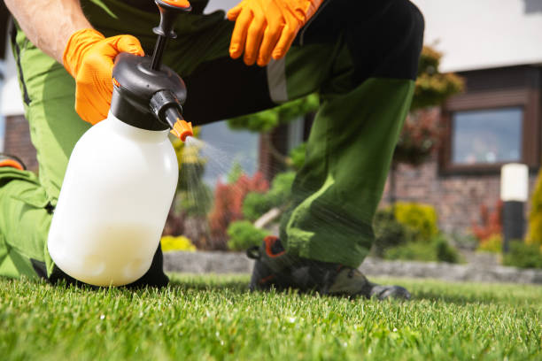 Trusted Wellsville, MO Pest Control Experts