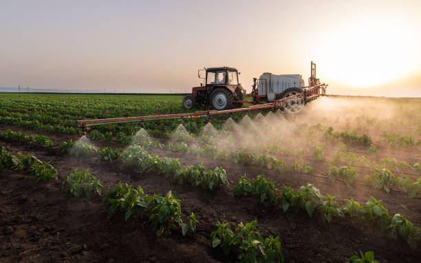 Best Best Pest Control Companies  in Wellsville, MO