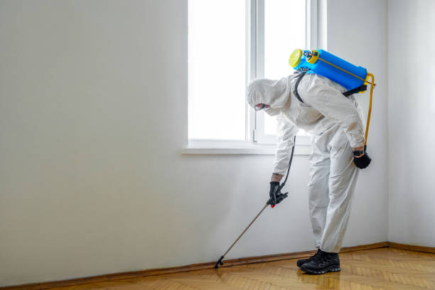 Best Pest Removal Services  in Wellsville, MO